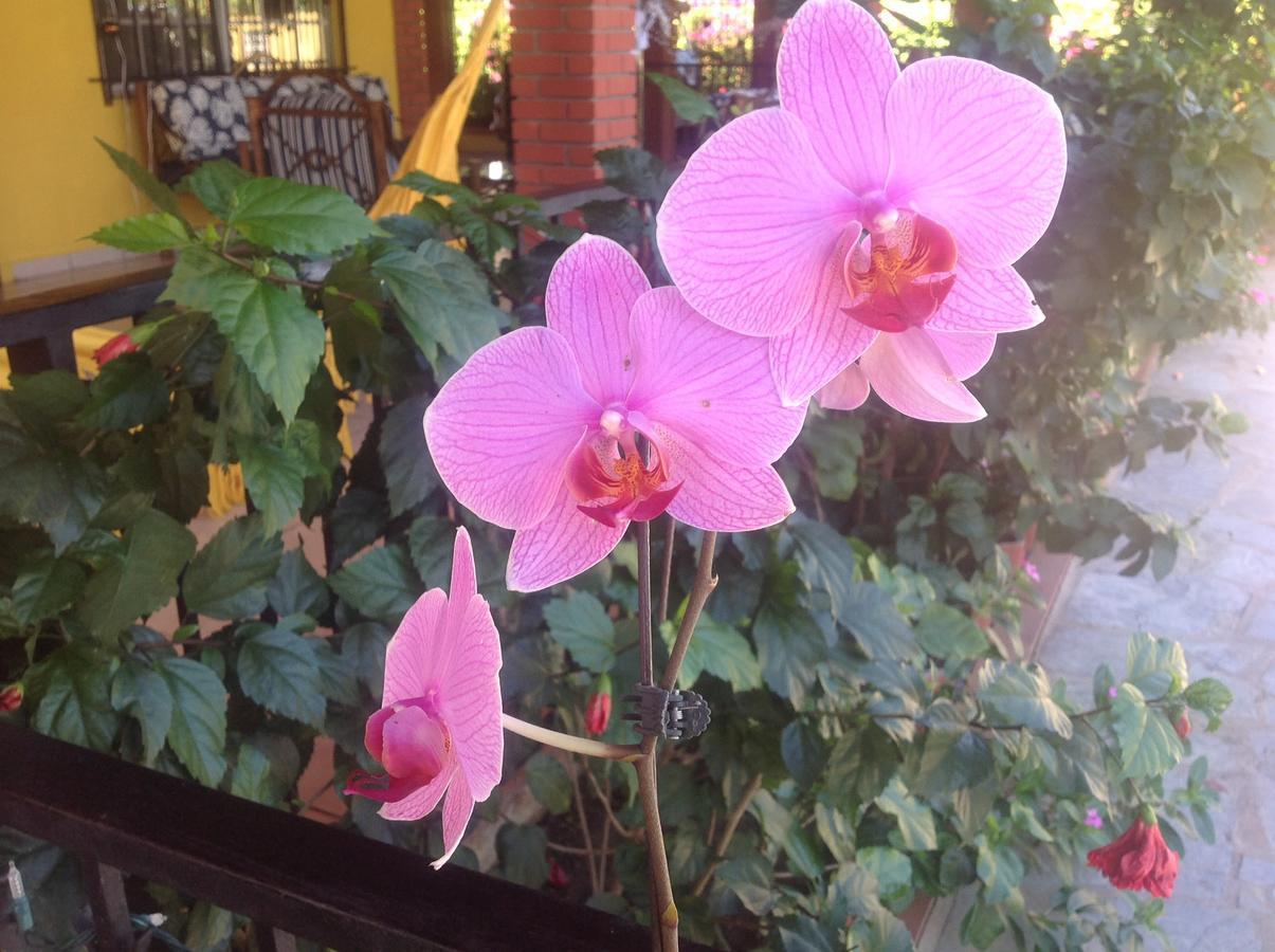 Casa De Los Suenos B&B Coronado Panama Playa Coronado Luaran gambar