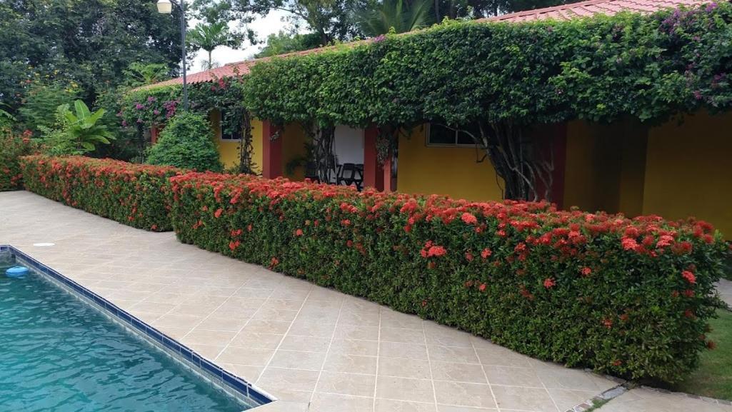 Casa De Los Suenos B&B Coronado Panama Playa Coronado Luaran gambar